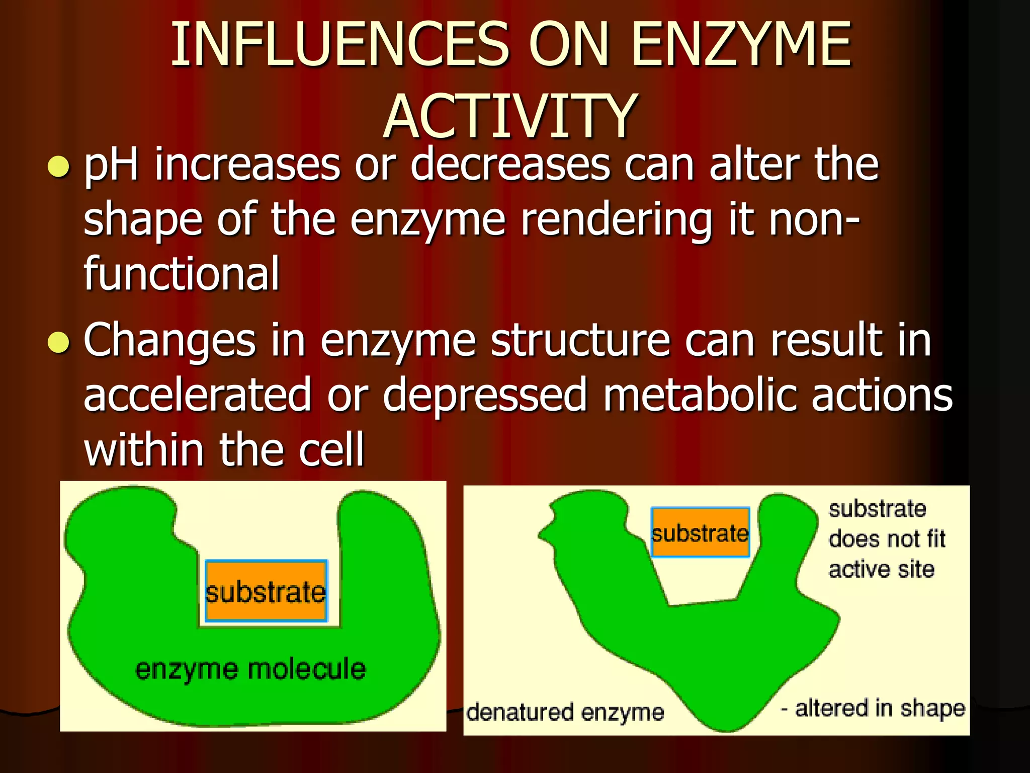 Acid Base Balance - Biochemistry of human homeostasis