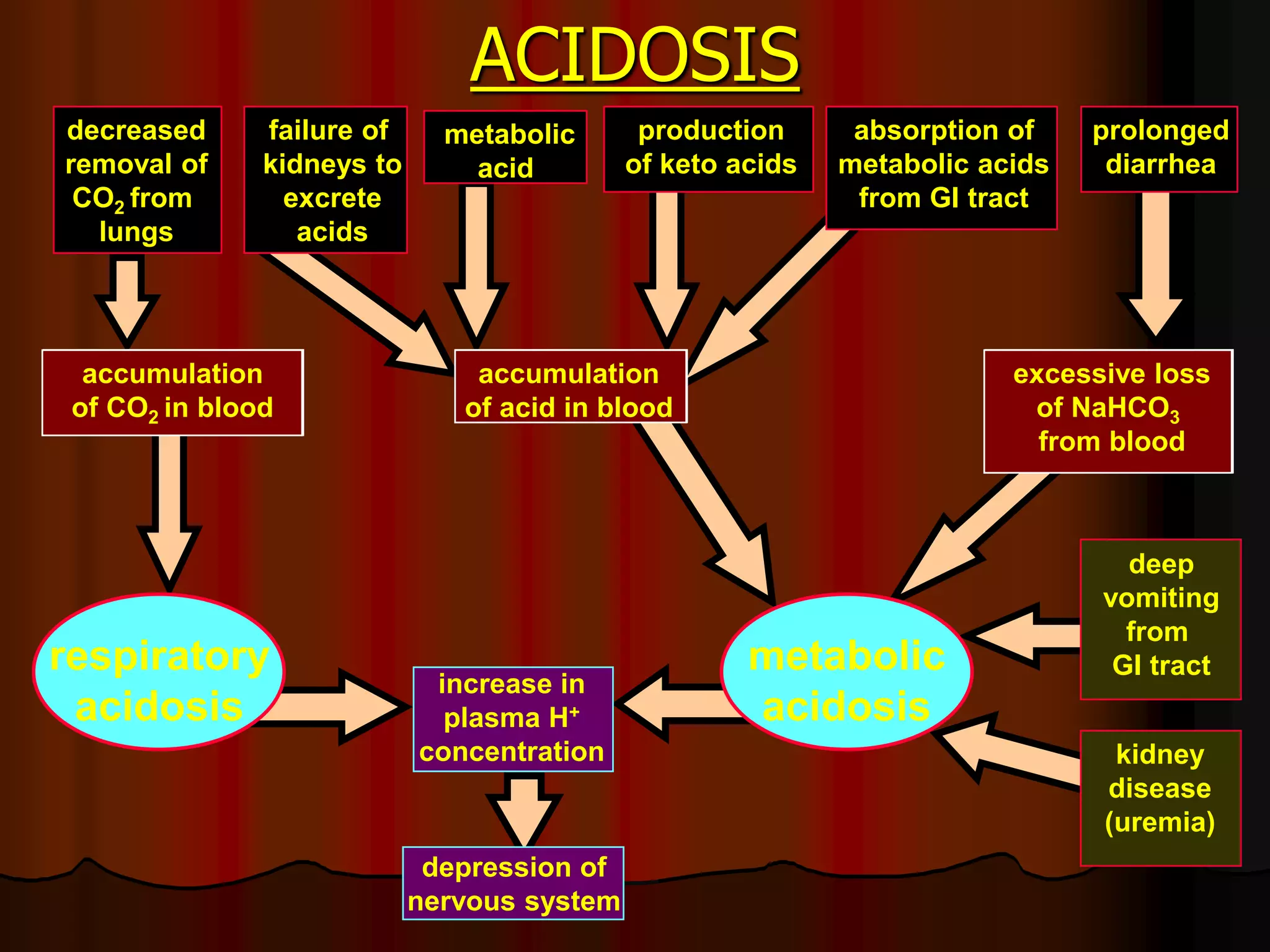 Acid Base Balance - Biochemistry of human homeostasis