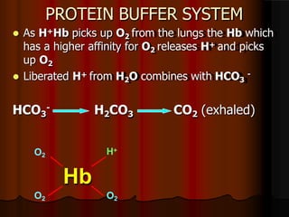 Protein Buffer Example acid-basebalancedr.pptx