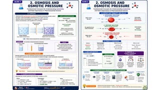 Acid-Base Chemistry and Buffer Systems in Pharmacy.pptx