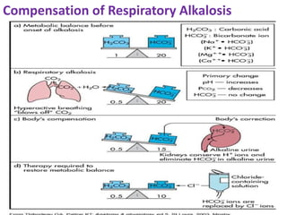 Compensation of Respiratory Alkalosis
 