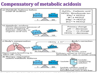 Compensatory of metabolic acidosis
 