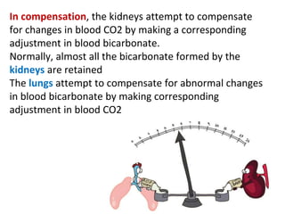 In compensation, the kidneys attempt to compensate
for changes in blood CO2 by making a corresponding
adjustment in blood bicarbonate.
Normally, almost all the bicarbonate formed by the
kidneys are retained
The lungs attempt to compensate for abnormal changes
in blood bicarbonate by making corresponding
adjustment in blood CO2
 