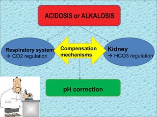 ACIDOSIS or ALKALOSIS 
pH correction 
Respiratory system 
 CO2 regulation 
Kidney 
 HCO3 regulation 
Compensation 
mechanisms 
 