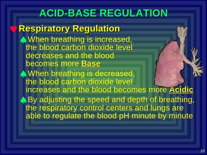 Acid Base Homeostasis