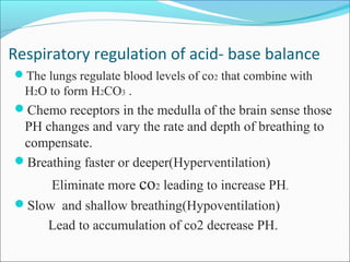 Respiratory regulation of acid- base balance
The lungs regulate blood levels of co2 that combine with
H2O to form H2CO3 .
Chemo receptors in the medulla of the brain sense those
PH changes and vary the rate and depth of breathing to
compensate.
Breathing faster or deeper(Hyperventilation)
Eliminate more co2 leading to increase PH.
Slow and shallow breathing(Hypoventilation)
Lead to accumulation of co2 decrease PH.
 