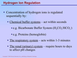 Hydrogen Ion Regulation Concentration of hydrogen ions is regulated sequentially by: Chemical buffer systems  – act within seconds e.g. Bicarbonate Buffer System (H 2 CO 3 /HCO 3 - ) e.g. Proteins (hemoglobin) The respiratory system  – acts within 1-3 minutes The renal (urinary) system  – require hours to days to affect pH changes 
