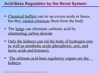Acid-Base Regulation by the Renal System: Chemical buffers  can tie up excess acids or bases, but they  cannot  eliminate  them from the body The  lungs  can eliminate carbonic acid by  eliminating carbon dioxide Only the kidneys can rid the body of hydrogen ions as well as metabolic acids (phosphoric, uric, and lactic acids and ketones). The ultimate acid-base regulatory organs are the  kidneys 