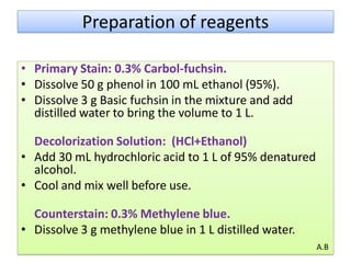 Acid fast staining | PDF