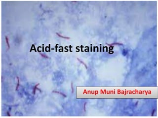 Acid-fast staining
Anup Muni Bajracharya
 