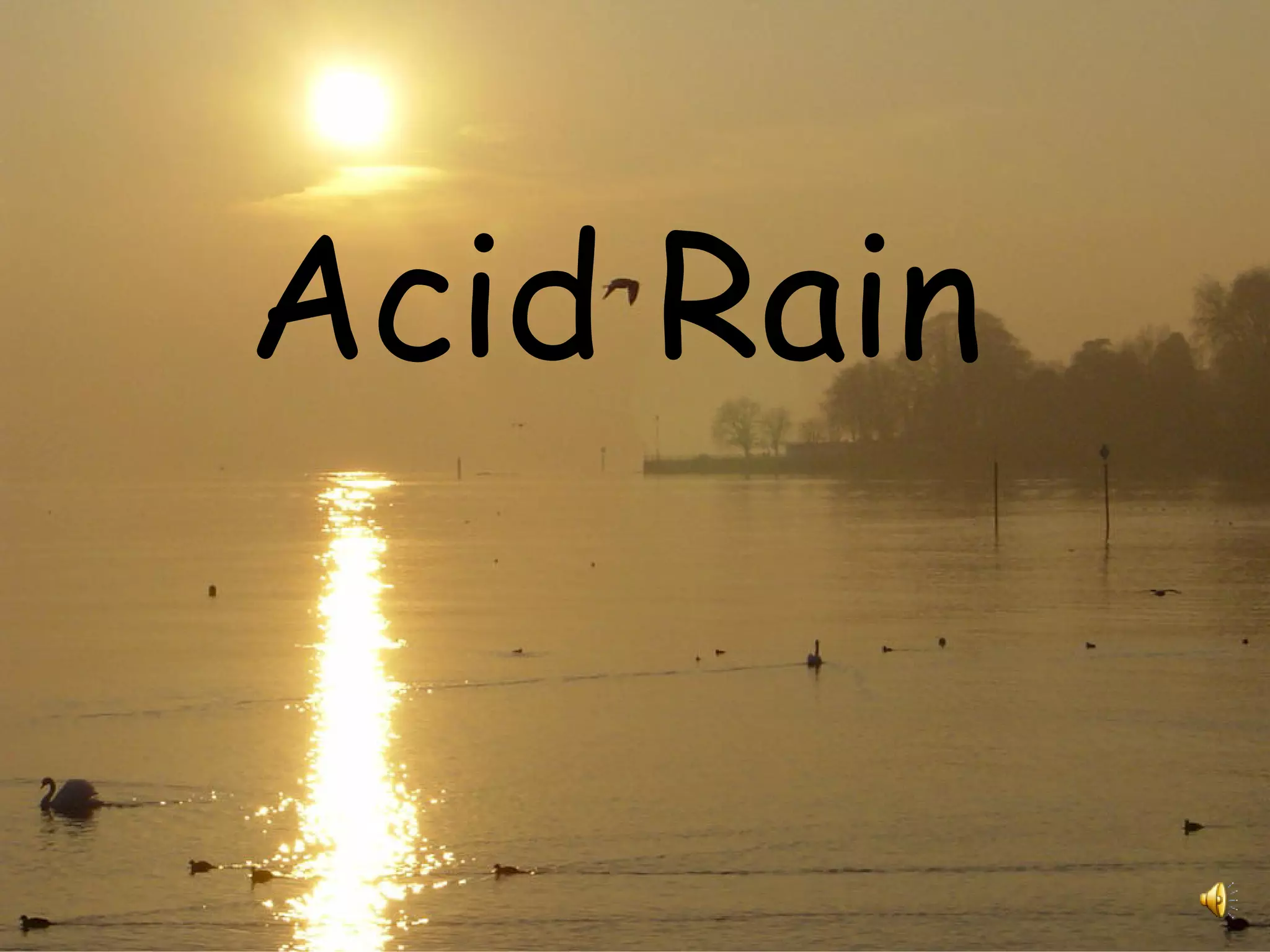 Acid Rain PPT