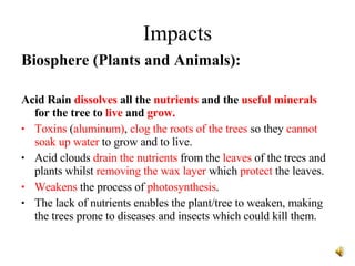 Impacts Biosphere (Plants and Animals): Acid Rain  dissolves  all the  nutrients  and the  useful minerals  for the tree to  live  and  grow.   Toxins  ( aluminum) ,  clog the roots of the trees  so they  cannot soak up water  to grow and to live. Acid clouds  drain the nutrients  from the  leaves  of the trees and plants whilst  removing the wax layer  which  protect  the leaves.  Weakens  the process of  photosynthesis . The lack of nutrients enables the plant/tree to weaken, making the trees prone to diseases and insects which could kill them. 