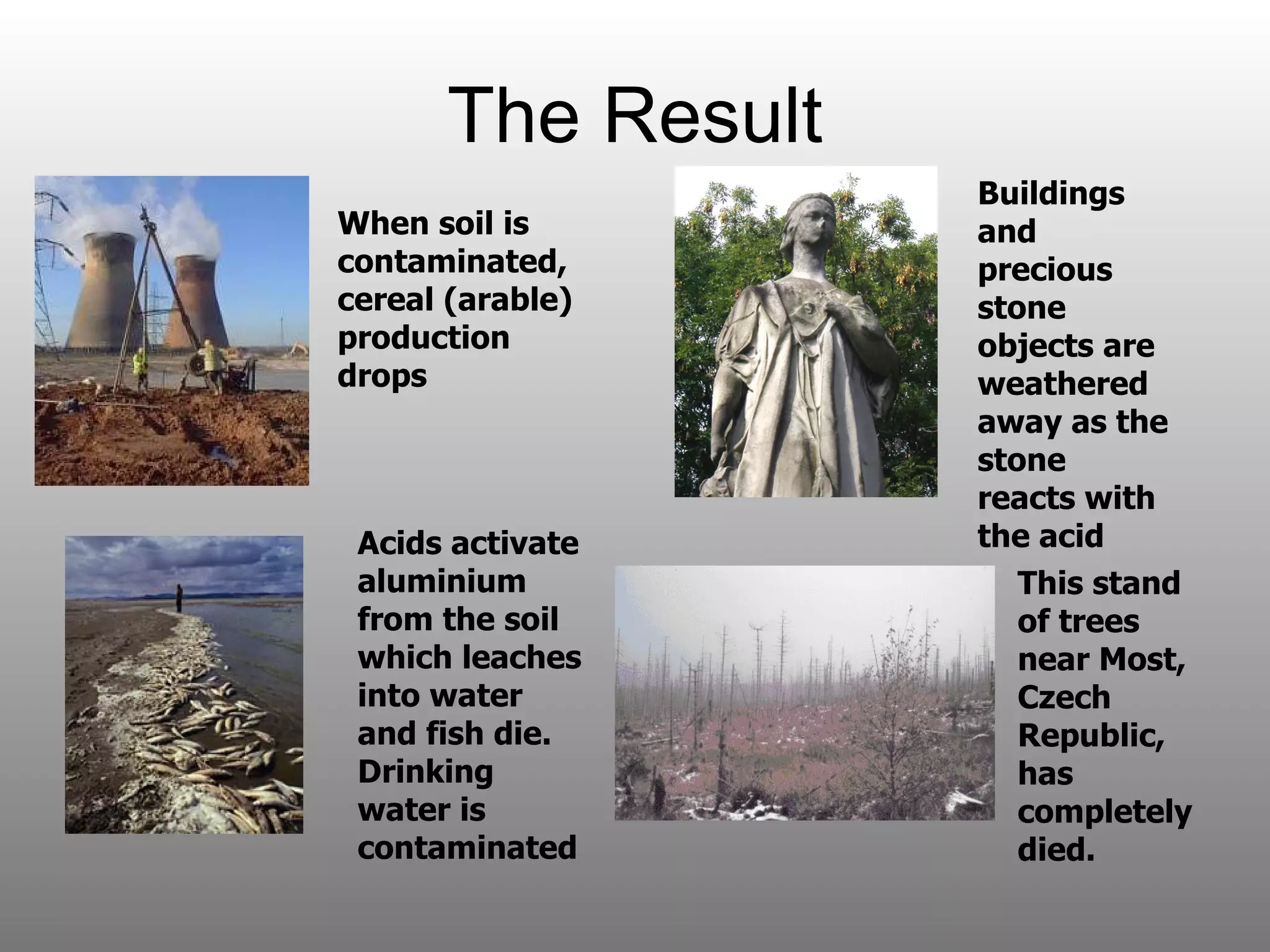 The Result Acids activate aluminium from the soil which leaches into water and fish die. Drinking water is contaminated This stand of trees near Most, Czech Republic, has completely died.  Buildings  and precious stone objects are weathered away as the stone reacts with the acid When soil is contaminated, cereal (arable) production drops  