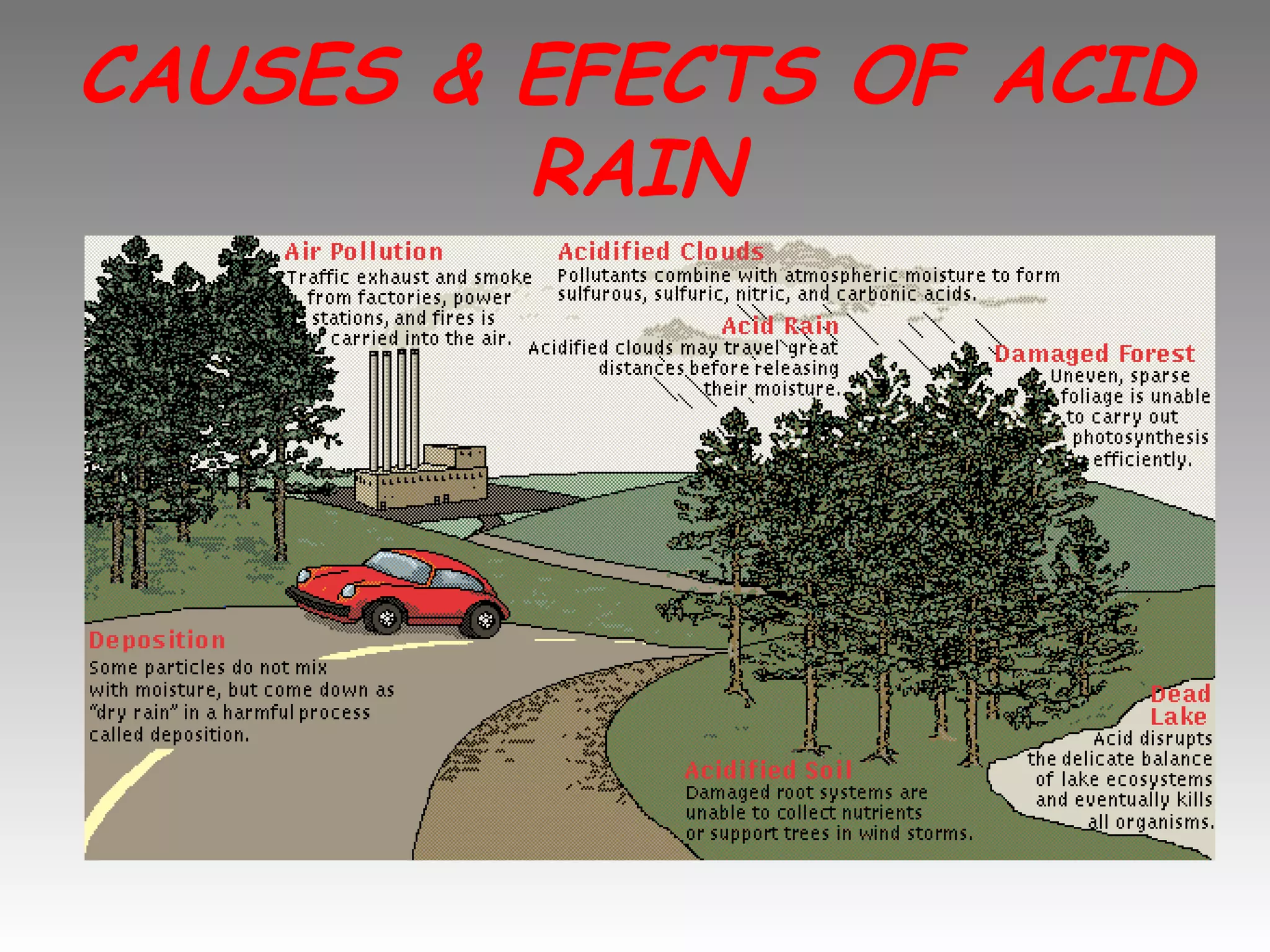 CAUSES & EFECTS OF ACID RAIN 