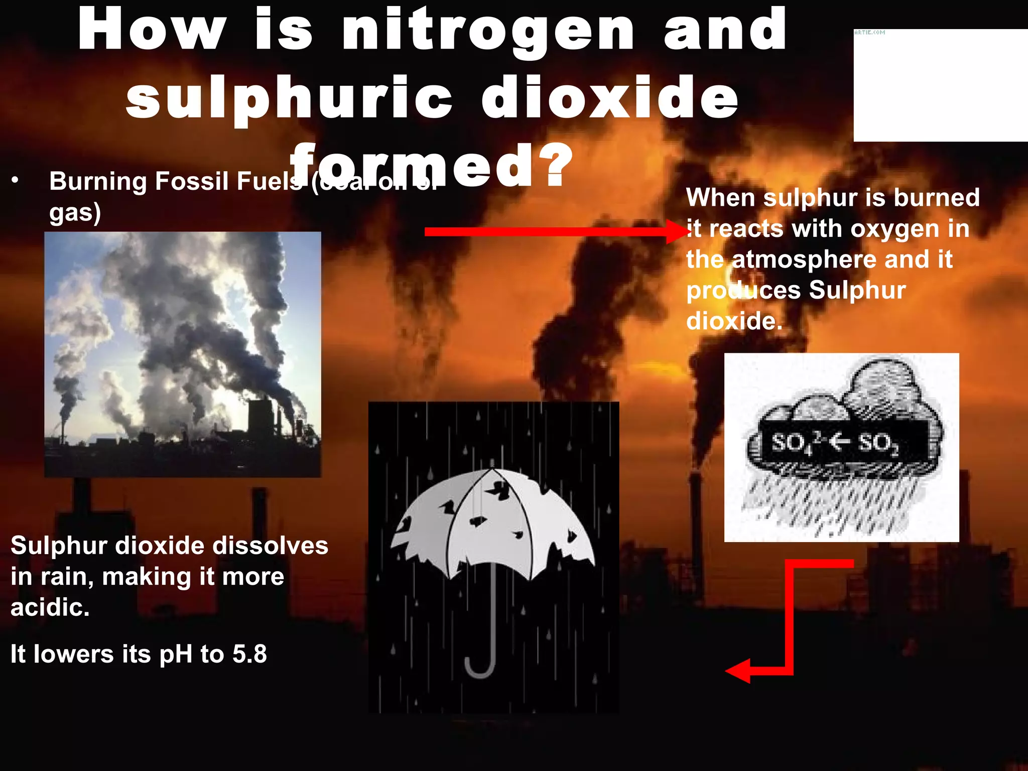 How is nitrogen and sulphuric dioxide formed? Burning Fossil Fuels (coal oil or gas) Sulphur dioxide  dissolves in rain, making it more acidic. It lowers its pH to 5.8 When sulphur is burned it reacts with oxygen in the atmosphere and it produces Sulphur dioxide. 