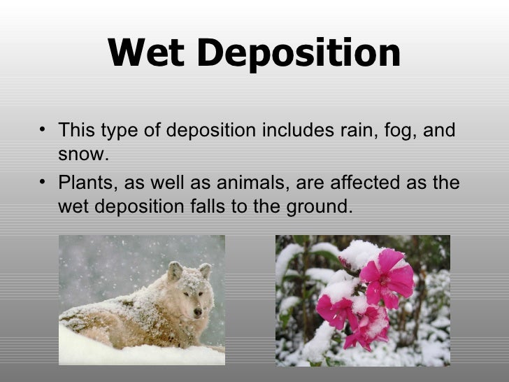 Acid rain research report
