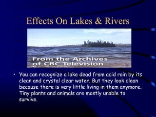 Effects On Lakes & Rivers




• You can recognize a lake dead from acid rain by its
  clean and crystal clear water. But they look clean
  because there is very little living in them anymore.
  Tiny plants and animals are mostly unable to
  survive.
 