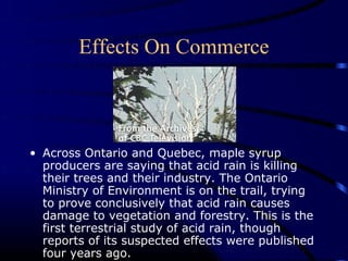 Effects On Commerce



• Across Ontario and Quebec, maple syrup
  producers are saying that acid rain is killing
  their trees and their industry. The Ontario
  Ministry of Environment is on the trail, trying
  to prove conclusively that acid rain causes
  damage to vegetation and forestry. This is the
  first terrestrial study of acid rain, though
  reports of its suspected effects were published
  four years ago.
 