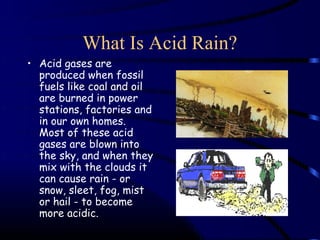 What Is Acid Rain?
• Acid gases are
  produced when fossil
  fuels like coal and oil
  are burned in power
  stations, factories and
  in our own homes.
  Most of these acid
  gases are blown into
  the sky, and when they
  mix with the clouds it
  can cause rain - or
  snow, sleet, fog, mist
  or hail - to become
  more acidic.
 