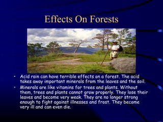 Effects On Forests




• Acid rain can have terrible effects on a forest. The acid
  takes away important minerals from the leaves and the soil.
• Minerals are like vitamins for trees and plants. Without
  them, trees and plants cannot grow properly. They lose their
  leaves and become very weak. They are no longer strong
  enough to fight against illnesses and frost. They become
  very ill and can even die.
 