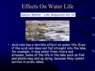 Effects On Water Life




• Acid rain has a terrible effect on water life. Even
  if the acid rain does not fall straight into the lake,
  for example, it may enter from rivers and
  streams. Some of the life in the lake such as fish
  and plants may end up dying, because they cannot
  survive in acidic lakes.
 