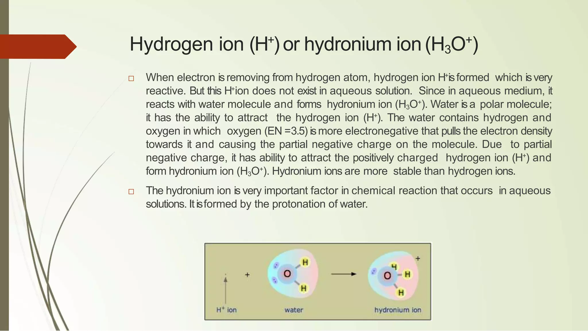 Hydrogen ion (H+
) or hydronium ion(H3O+
)
□ When electron isremoving from hydrogen atom, hydrogen ion H+
isformed which isvery
reactive. But this H+
ion does not exist in aqueous solution. Since in aqueous medium, it
reacts with water molecule and forms hydronium ion (H3O+
). Water isa polar molecule;
it has the ability to attract the hydrogen ion (H+
). The water contains hydrogen and
oxygen in which oxygen (EN =3.5) ismore electronegative that pulls the electron density
towards it and causing the partial negative charge on the molecule. Due to partial
negative charge, it has ability to attract the positively charged hydrogen ion (H+
) and
form hydronium ion (H3O+
). Hydronium ions are more stable than hydrogen ions.
□ The hydronium ion is very important factor in chemical reaction that occurs in aqueous
solutions. Itisformed by the protonation of water.
 