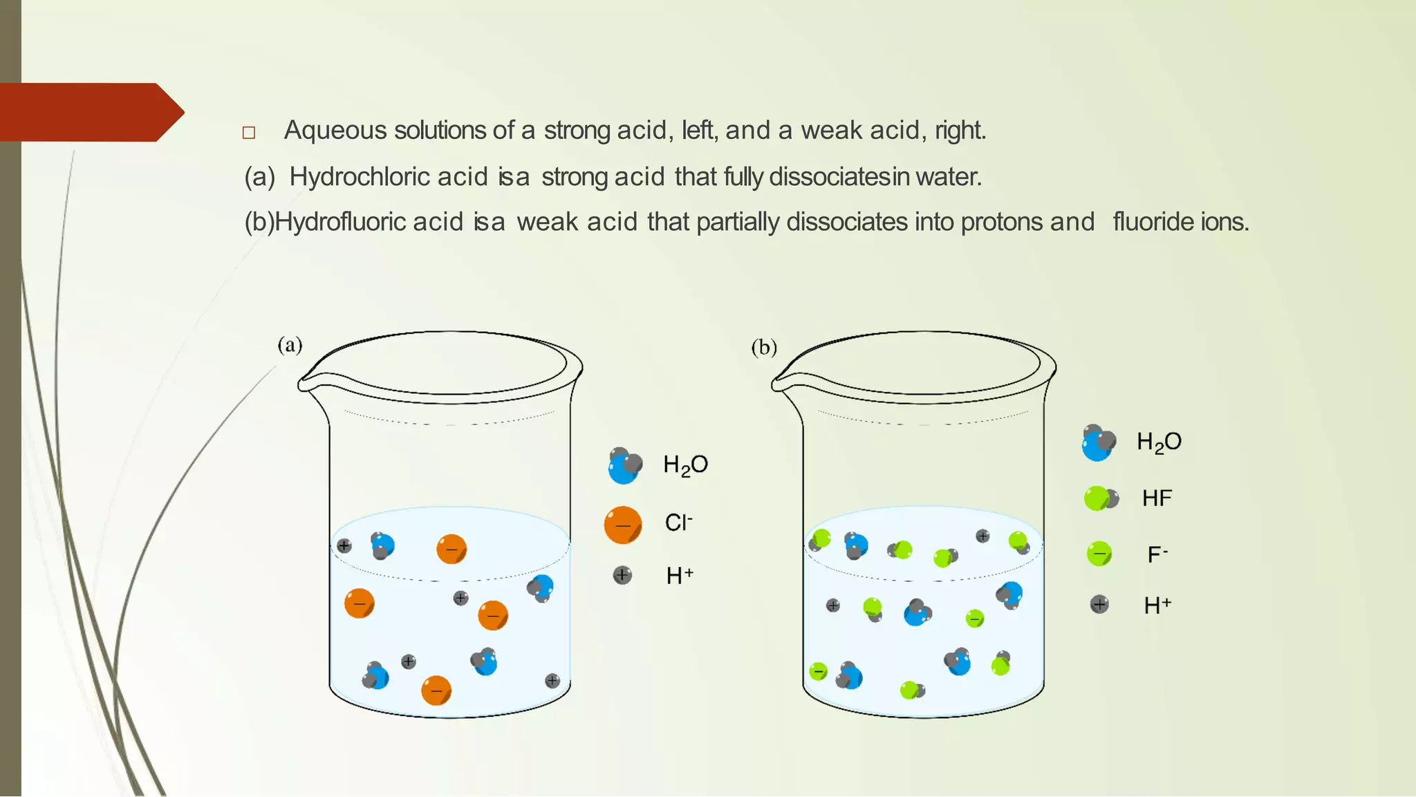□ Aqueous solutions of a strong acid, left, and a weak acid, right.
(a) Hydrochloric acid isa strong acid that fully dissociatesin water.
(b)Hydrofluoric acid isa weak acid that partially dissociates into protons and fluoride ions.
 