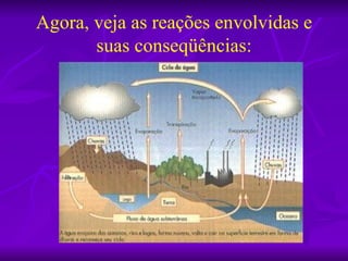 Agora, veja as reações envolvidas e
       suas conseqüências:
 