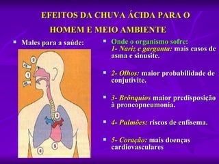     EFEITOS DA CHUVA ÁCIDA PARA O 
            HOMEM E MEIO AMBIENTE 
   Males para a saúde:      Onde o organismo sofre:
                              1- Nariz e garganta: mais casos de 
                              asma e sinusite.

                             2- Olhos: maior probabilidade de 
                              conjutivite.

                             3- Brônquios maior predisposição 
                              à proncopneumonia.

                             4- Pulmões: riscos de enfisema.

                             5- Coração: mais doenças 
                              cardiovasculares
 