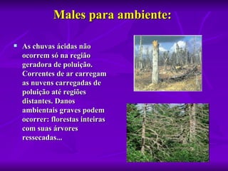 Males para ambiente: 

   As chuvas ácidas não 
    ocorrem só na região 
    geradora de poluição. 
    Correntes de ar carregam 
    as nuvens carregadas de 
    poluição até regiões 
    distantes. Danos 
    ambientais graves podem 
    ocorrer: florestas inteiras 
    com suas árvores 
    ressecadas... 
 