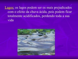 Lagos: os lagos podem ser os mais prejudicados
  com o efeito da chuva ácida, pois podem ficar
  totalmente acidificados, perdendo toda a sua
  vida
 