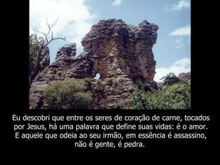 Eu descobri que entre os seres de coração de carne, tocados
por Jesus, há uma palavra que define suas vidas: é o amor.
 E aquele que odeia ao seu irmão, em essência é assassino,
                  não é gente, é pedra.
 