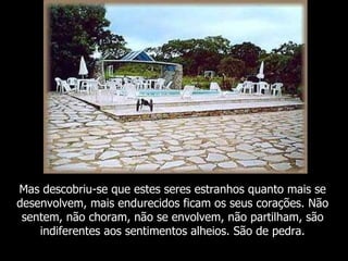 Mas descobriu-se que estes seres estranhos quanto mais se
desenvolvem, mais endurecidos ficam os seus corações. Não
 sentem, não choram, não se envolvem, não partilham, são
    indiferentes aos sentimentos alheios. São de pedra.
 