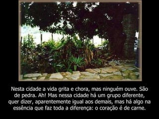 Nesta cidade a vida grita e chora, mas ninguém ouve. São
  de pedra. Ah! Mas nessa cidade há um grupo diferente,
quer dizer, aparentemente igual aos demais, mas há algo na
  essência que faz toda a diferença: o coração é de carne.
 