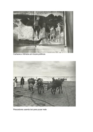 Cartazes e folhetos em locais públicos
Pescadores usando boi para puxar rede
 