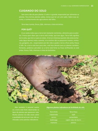 A cidade e a roça: SEMEANDO AGROECOLOGIA 11
Cuidando do solo
Sem terra não dá para plantar. O solo é o grande responsável por alimentar as
plantas. Para termos plantas sadias, temos que ter um solo sadio. Sobre esse as-
sunto, o conhecimento dos agricultores não falha:
Terra boa é preta, fresca, fofa, cheirosa e cheia de bichos.
Por quê?
A cor preta indica que a terra tem bastante nutrientes, alimento para as plan-
tas. Fresca quer dizer que a terra está úmida, que tem água. Terra fofa significa
terra solta, que tem ar para as raízes. A terra é cheirosa quando não está enchar-
cada (água demais mata a planta). Já os bichos são os pequenos insetos, minho-
cas, gongolos, etc., responsáveis por dar vida e ajudar a terra a ficar preta, fresca
e fofa. Se a terra está boa para eles, está boa demais para as plantas também.
Portanto, podemos perceber se a terra está forte ou fraca verificando se está
preta, fresca, fofa, cheirosa e cheia de bichinhos.
Mas também é possível avaliar
se a terra está forte observando os
tipos de plantas que aparecem nela.
Muitas plantas nos dão sinais sobre
a qualidade da terra por isso, são co-
nhecidas como plantas indicadoras.
Algumas plantas indicadoras de fertilidade do solo
Terra forte Terra fraca
trapoeraba sapê
caruru samambaia
beldroega capim rabo-de-burro
mamona pixirica
A cidade e a roça: SEMEANDO AGROECOLOGIA 11
 