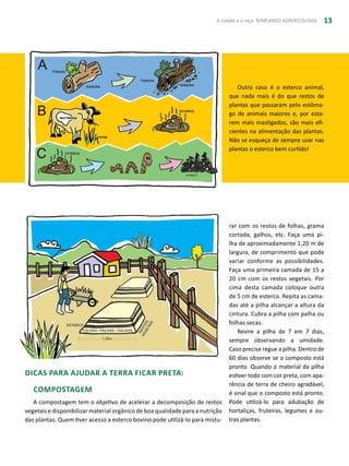 A cidade e a roça: SEMEANDO AGROECOLOGIA 13
Outro caso é o esterco animal,
que nada mais é do que restos de
plantas que passaram pelo estôma-
go de animais maiores e, por esta-
rem mais mastigados, são mais efi-
cientes na alimentação das plantas.
Não se esqueça de sempre usar nas
plantas o esterco bem curtido!
DICAS PARA AJUDAR A TERRA FICAR PRETA:
Compostagem
A compostagem tem o objetivo de acelerar a decomposição de restos
vegetais e disponibilizar material orgânico de boa qualidade para a nutrição
das plantas. Quem tiver acesso a esterco bovino pode utilizá-lo para mistu-
rar com os restos de folhas, grama
cortada, galhos, etc. Faça uma pi-
lha de aproximadamente 1,20 m de
largura, de comprimento que pode
variar conforme as possibilidades.
Faça uma primeira camada de 15 a
20 cm com os restos vegetais. Por
cima desta camada coloque outra
de 5 cm de esterco. Repita as cama-
das até a pilha alcançar a altura da
cintura. Cubra a pilha com palha ou
folhas secas.
Revire a pilha de 7 em 7 dias,
sempre observando a umidade.
Caso precise regue a pilha. Dentro de
60 dias observe se o composto está
pronto. Quando o material da pilha
estiver todo com cor preta, com apa-
rência de terra de cheiro agradável,
é sinal que o composto está pronto.
Pode utilizá-lo para adubação de
hortaliças, fruteiras, legumes e ou-
tras plantas.
 
