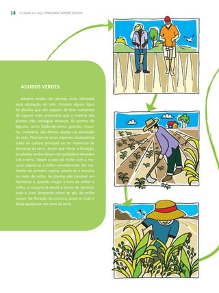 A cidade e a roça: SEMEANDO AGROECOLOGIA14
adubos verdes
Adubos verdes são plantas vivas utilizadas
para adubação do solo. Existem alguns tipos
de plantas que são capazes de tirar nutrientes
de lugares mais profundos que a maioria das
plantas não consegue alcançar. As plantas de
legume, como feijão-de-porco, guandu, mucu-
na, crotalária, são ótimas aliadas na adubação
do solo. Plantam-se essas espécies adubadeiras
junto da cultura principal ou no momento de
descanso da terra. Assim que iniciar a floração,
os adubos verdes devem ser podados e deixados
sob a terra. Vejam o caso do milho com a mu-
cuna: planta-se o milho normalmente. No mo-
mento da primeira capina, planta-se a mucuna
no meio do milho. As plantas vão conviver em
harmonia e, quando chegar a hora de colher o
milho, a mucuna já estará a ponto de dominar
toda a área (trepando sobre os pés de milho
secos). Na floração da mucuna, poda-se tudo e
deixa apodrecer em cima da terra.
 