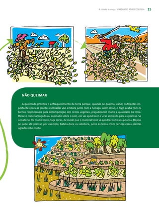 A cidade e a roça: SEMEANDO AGROECOLOGIA 15
Não queimar
A queimada provoca o enfraquecimento da terra porque, quando se queima, vários nutrientes im-
portantes para as plantas cultivadas vão embora junto com a fumaça. Além disso, o fogo acaba com os
bichos responsáveis pela decomposição dos restos vegetais, prejudicando muito a qualidade da terra.
Deixe o material roçado ou capinado sobre o solo, ele vai apodrecer e virar alimento para as plantas. Se
o material for muito bruto, faça leiras, de modo que o material todo vá apodrecendo aos poucos. Depois
se pode até plantar, por exemplo, batata-doce ou abóbora, junto às leiras. Com certeza essas plantas
agradecerão muito.
 