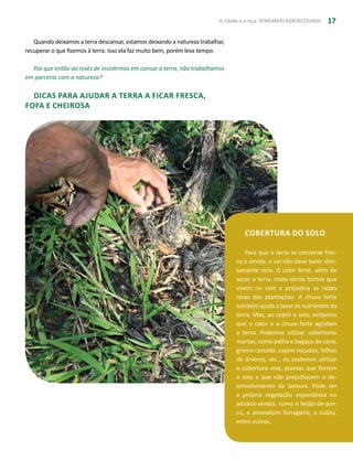 A cidade e a roça: SEMEANDO AGROECOLOGIA 17
Quando deixamos a terra descansar, estamos deixando a natureza trabalhar,
recuperar o que fizemos à terra. Isso ela faz muito bem, porém leva tempo.
Por que então ao invés de insistirmos em cansar a terra, não trabalhamos
em parceria com a natureza?
DICAS PARA AJUDAR A TERRA A FICAR FRESCA,
FOFA E CHEIROSA
Cobertura do solo
Para que a terra se conserve fres-
ca e úmida, o sol não deve bater dire-
tamente nela. O calor forte, além de
secar a terra, mata vários bichos que
vivem no solo e prejudica as raízes
rasas das plantações. A chuva forte
também ajuda a lavar os nutrientes da
terra. Mas, ao cobrir o solo, evitamos
que o calor e a chuva forte agridam
a terra. Podemos utilizar coberturas
mortas, como palha e bagaço de cana,
grama cortada, capins roçados, folhas
de árvores, etc.; ou podemos utilizar
a cobertura viva, plantas que forrem
o solo e que não prejudiquem o de-
senvolvimento da lavoura. Pode ser
a própria vegetação espontânea ou
adubos-verdes, como o feijão-de-por-
co, o amendoim forrageiro, o cudzu,
entre outros.
 