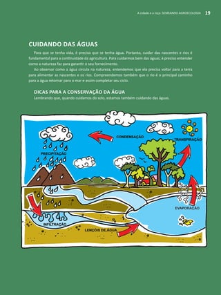 A cidade e a roça: SEMEANDO AGROECOLOGIA 19
Cuidando das águas
Para que se tenha vida, é preciso que se tenha água. Portanto, cuidar das nascentes e rios é
fundamental para a continuidade da agricultura. Para cuidarmos bem das águas, é preciso entender
como a natureza faz para garantir o seu fornecimento.
Ao observar como a água circula na natureza, entendemos que ela precisa voltar para a terra
para alimentar as nascentes e os rios. Compreendemos também que o rio é o principal caminho
para a água retornar para o mar e assim completar seu ciclo.
DICAS PARA A CONSERVAÇÃO DA ÁGUA
Lembrando que, quando cuidamos do solo, estamos também cuidando das águas.
A cidade e a roça: SEMEANDO AGROECOLOGIA 19
 