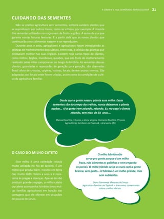 A cidade e a roça: SEMEANDO AGROECOLOGIA 21
Cuidando das sementes
Não se pratica agricultura sem sementes, embora existam plantas que
se reproduzem por outros meios, como as estacas, por exemplo. A maioria
das sementes utilizadas nas roças vem de frutos e grãos. A semente é o que
garante nossas futuras lavouras. É a partir dela que as novas plantas que
continuarão a nos alimentar nascem e se reproduzem.
Durante anos e anos, agricultores e agricultoras foram introduzindo as
práticas de melhoramento dos cultivos, entre elas, a seleção das plantas que
produziam melhor nas suas regiões. Existem hoje vários tipos de plantas,
como milhos, feijões, mandiocas, quiabos, que são fruto do melhoramento
realizado pelas mãos camponesas ao longo da história. As sementes dessas
plantas, guardadas e repassadas de geração para geração, são chamadas
Brasil afora de crioulas, caipiras, nativas, locais, dentre outros termos. São
adaptadas aos locais onde foram criadas, assim como às condições de culti-
vo da agricultura familiar.
O caso do milho cateto
Esse milho é uma variedade crioula
muito utilizada no Rio de Janeiro. É um
milho que produz bem, mesmo em terra
não muito fértil. Tolera a seca e é resis-
tente às pragas e doenças. Apesar de não
produzir grandes espigas, o milho cateto
ou catete acompanha há vários anos mui-
tas famílias agricultoras em função das
vantagens que ele oferece em situações
de poucos recursos.
Desde que a gente nasceu planta esse milho. Essas
sementes são do tempo dos velhos, nunca deixamos a planta
acabar... Aí a gente vem zelando, zelando. Eu me casei e fomos
zelando, tem mais de 50 anos...
Manoel Martins, 74 anos, e dona Virginia Clemente Martins, 79 anos
Agricultores familiares de Tapinoã – Araruama (RJ)
O milho híbrido não
serve pra gente porque é um milho
fraco, não alimenta as galinhas e nem engorda
os porcos. O milho híbrido deixa os ovos com a gema
branca, sem gosto... O híbrido é um milho grande, mas
sem nutrientes.
Dona Genoveva Menezes de Souza
Agricultora familiar de Tapinoã – Araruama, comentando
sobre o milho híbrido.
A cidade e a roça: SEMEANDO AGROECOLOGIA 21
 