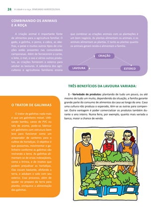 A cidade e a roça: SEMEANDO AGROECOLOGIA24
Combinando os animais
e a roça
A criação animal é importante fonte
de alimentos para a agricultura familiar. O
gado, a galinha, o porco, a cabra, as abe-
lhas, o peixe e muitos outros tipos de cria-
ções estão presentes nas comunidades
camponesas. Além de fornecerem a carne,
o leite, o mel, o ovo e vários outros produ-
tos, as criações fornecem o esterco para
adubar as lavouras. A sabedoria dos agri-
cultores e agricultoras familiares ensina ESTERCO
CRIAÇÃO
LAVOURA
O trator de galinhas
O trator de galinhas nada mais
é que um galinheiro móvel. Utili-
zando bambu, canos de PVC ou
tela de arame, pode-se fabricar
um galinheiro com estrutura bem
leve para funcionar como um
preparador de canteiros para o
cultivo de hortaliças. O objetivo é
que possamos, movimentar o ga-
linheiro conforme as galinhas vão
revirando a terra. As galinhas ali-
mentam-se de ervas indesejáveis,
como a tiririca, e de insetos que
podem prejudicar as hortaliças.
Elas ciscam bastante, afofando a
terra, e adubam o solo com seu
esterco. Esse processo, além de
ajudar no preparo da terra para
plantio, enriquece a alimentação
das galinhas.
três BENEFÍCIOS DA LAVOURA VARIADA:
1 - Variedade de produtos: plantando de tudo um pouco, ou até
mesmo de tudo um muito, dependendo da situação, a família garante
grande parte do consumo de alimentos da casa ao longo do ano. Caso
uma cultura não produza o esperado, têm-se as outras para compen-
sar. Outra vantagem é poder comercializar os produtos também du-
rante o ano inteiro. Numa feira, por exemplo, quanto mais variada a
banca, maior a chance de venda.
que combinar as criações animais com as plantações é
um bom negócio. As plantas alimentam os animais, e os
animais alimentam as plantas. E tanto as plantas quanto
os animais geram renda e alimentam a família.
 