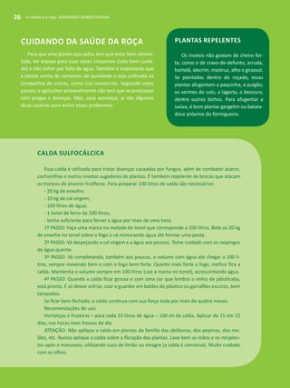 A cidade e a roça: SEMEANDO AGROECOLOGIA26
Plantas repelentes
Os insetos não gostam de cheiro for-
te, como o de cravo-de-defunto, arruda,
hortelã, alecrim, mastruz, alho e girassol.
Se plantadas dentro do roçado, essas
plantas afugentam a paquinha, o pulgão,
os vermes do solo, a lagarta, o besouro,
dentre outros bichos. Para afugentar a
saúva, é bom plantar gergelim ou batata-
doce próximo do formigueiro.
Cuidando da saúde da roça
Para que uma planta seja sadia, tem que estar bem alimen-
tada, ter espaço para suas raízes crescerem (solo bem cuida-
do) e não sofrer por falta de água. Também é importante que
a planta venha de sementes de qualidade e seja cultivada na
companhia de outras, como nos consórcios. Seguindo estes
passos, o agricultor provavelmente não terá que se preocupar
com pragas e doenças. Mas, caso aconteça, aí vão algumas
dicas caseiras para evitar esses problemas:
Calda sulfocálcica
Essa calda é utilizada para tratar doenças causadas por fungos, além de combater ácaros,
cochonilhas e outros insetos sugadores de plantas. É também repelente de brocas que atacam
os troncos de árvores frutíferas. Para preparar 100 litros de calda são necessários:
- 20 kg de enxofre;
- 10 kg de cal virgem;
- 100 litros de água;
- 1 tonel de ferro de 200 litros;
- lenha suficiente para ferver a água por mais de uma hora.
1º PASSO: Faça uma marca na metade do tonel que corresponde a 100 litros. Bote os 20 kg
de enxofre no tonel sobre o fogo e vá misturando água até formar uma pasta.
2º PASSO: Vá despejando a cal virgem e a água aos poucos. Tome cuidado com os respingos
de água quente.
3º PASSO: Vá completando, também aos poucos, o volume com água até chegar a 100 li-
tros, sempre mexendo bem e com o fogo bem forte. Quanto mais forte o fogo, melhor fica a
calda. Mantenha o volume sempre em 100 litros (use a marca no tonel), acrescentando água.
4º PASSO: Quando a calda ficar grossa e com uma cor que lembra o vinho de jabuticaba,
está pronta. É só deixar esfriar, coar e guardar em baldes de plástico ou garrafões escuros, bem
tampados.
Se ficar bem fechada, a calda continua com sua força toda por mais de quatro meses.
Recomendações de uso:
Hortaliças e fruteiras – para cada 10 litros de água – 100 ml de calda. Aplicar de 15 em 15
dias, nas horas mais frescas do dia.
ATENÇÃO: Não aplique a calda em plantas da família das abóboras, dos pepinos, dos me-
lões, etc. Nunca aplique a calda sobre a floração das plantas. Lave bem as mãos e os recipien-
tes após o manuseio, utilizando suco de limão ou vinagre (a calda é corrosiva). Muito cuidado
com os olhos.
A cidade e a roça: SEMEANDO AGROECOLOGIA26
 