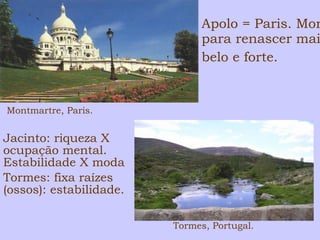Jacinto: riqueza X 
ocupação mental. 
Estabilidade X moda 
Tormes: fixa raízes 
(ossos): estabilidade. 
Apolo = Paris. Morte 
para renascer mais 
belo e forte. 
Tormes, Portugal. 
Montmartre, Paris. 
 