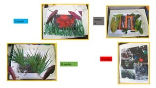 tristez
a

O sentir

O medo
O sonho

 