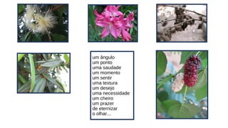 um ângulo
um ponto
uma saudade
um momento
um sentir
uma textura
um desejo
uma necessidade
um cheiro
um prazer
de eternizar
o olhar...

 