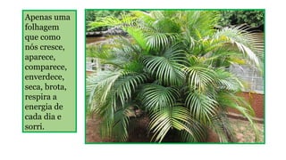 Apenas uma
folhagem
que como
nós cresce,
aparece,
comparece,
enverdece,
seca, brota,
respira a
energia de
cada dia e
sorri.

 