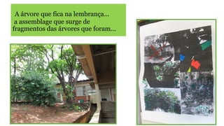 A árvore que fica na lembrança...
a assemblage que surge de
fragmentos das árvores que foram...

 