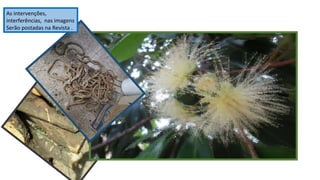 As intervenções,
interferências, nas imagens
Serão postadas na Revista .

 
